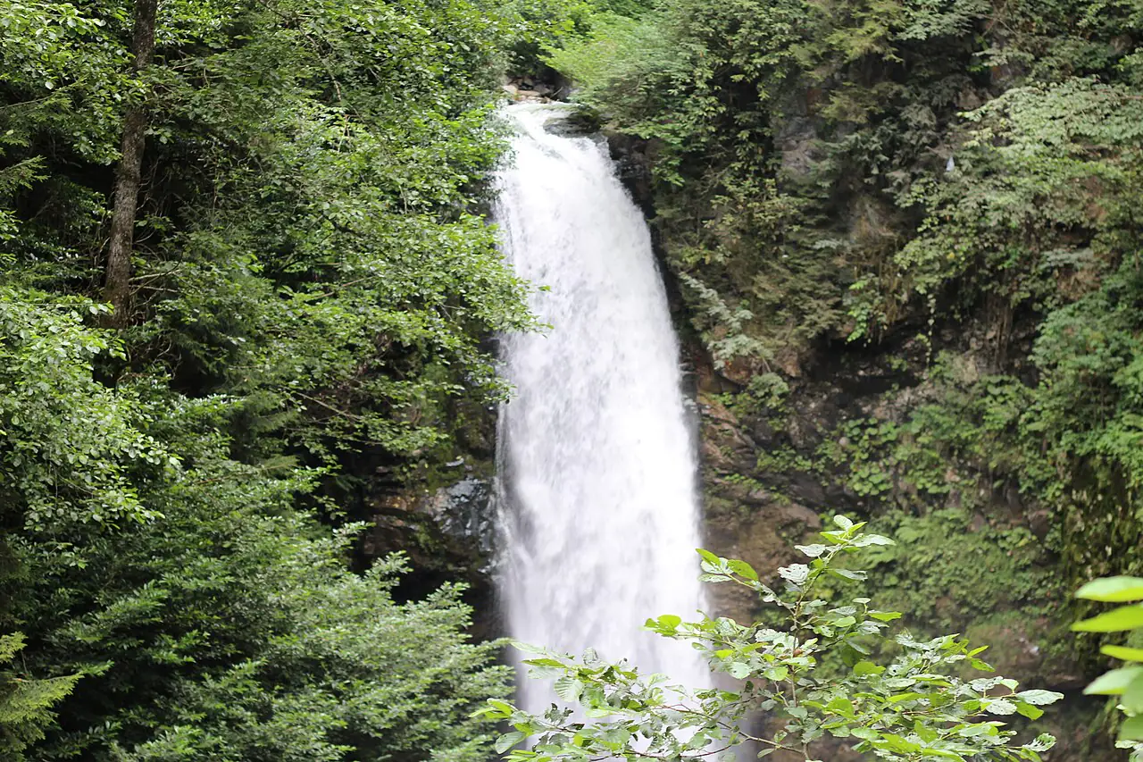 Gür orman içinde Palovit Şelalesi